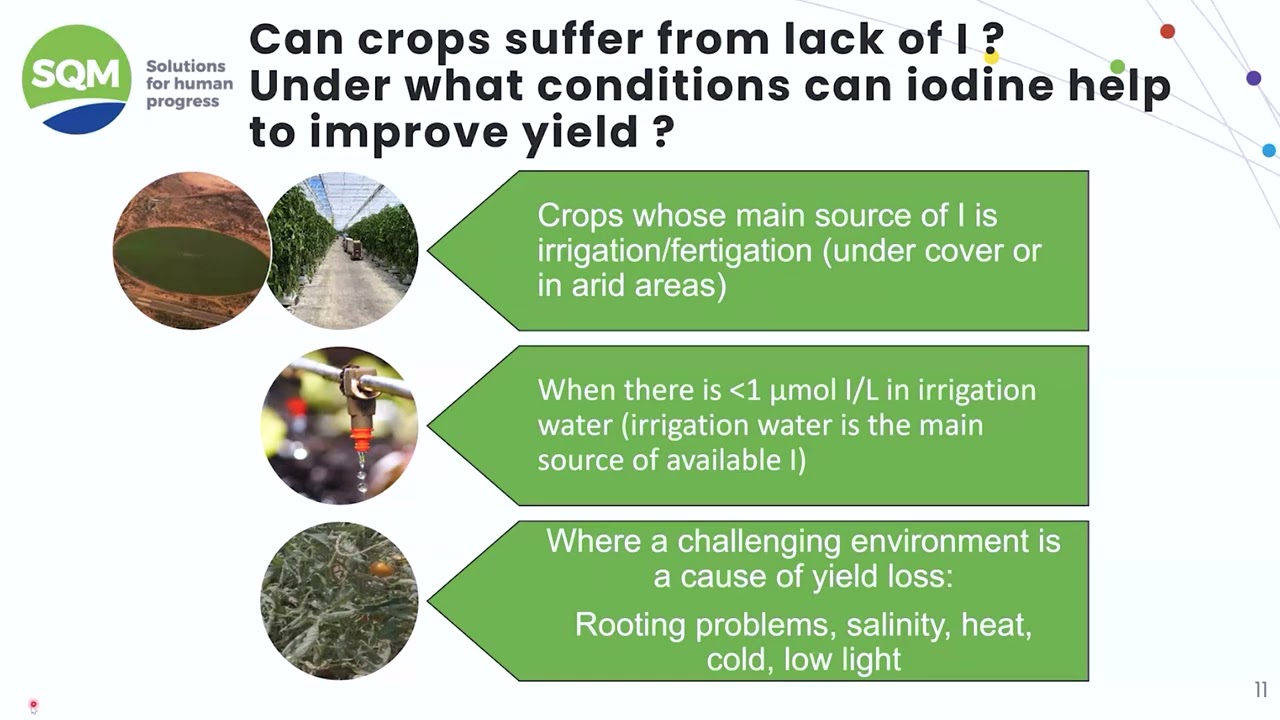Webinar - How Iodine Supports Avocado Growth