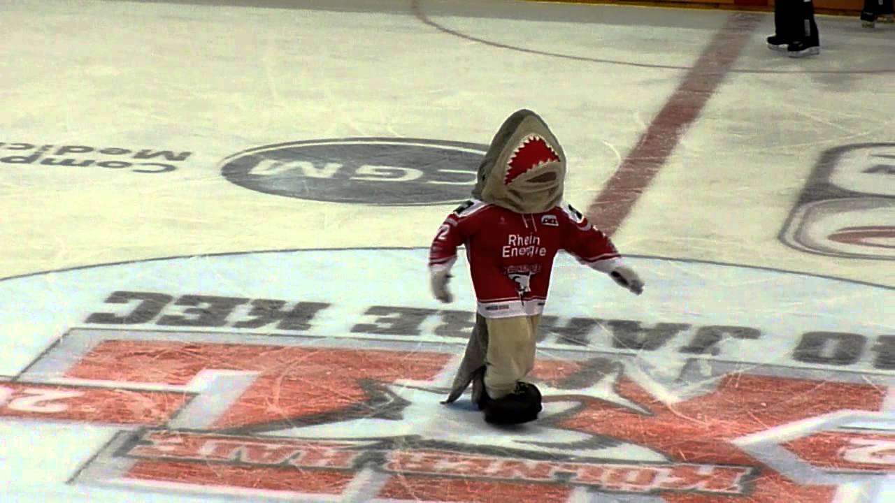 SHARKY DANCE Kölner Haie KEC vs Berlin 21.12.2012
