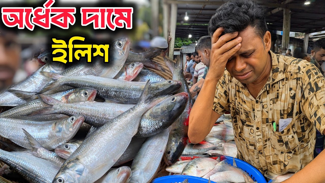 অর্ধেক দামে ইলিশ! সবার আশা পূরণ হল। বিরাট পরিবর্তন ইলিশের দামে মাওয়া মাছের আড়ৎ। mawa ghat fishmarket