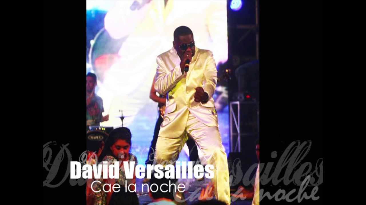 CAE LA NOCHE - DAVID VERSAILLES.