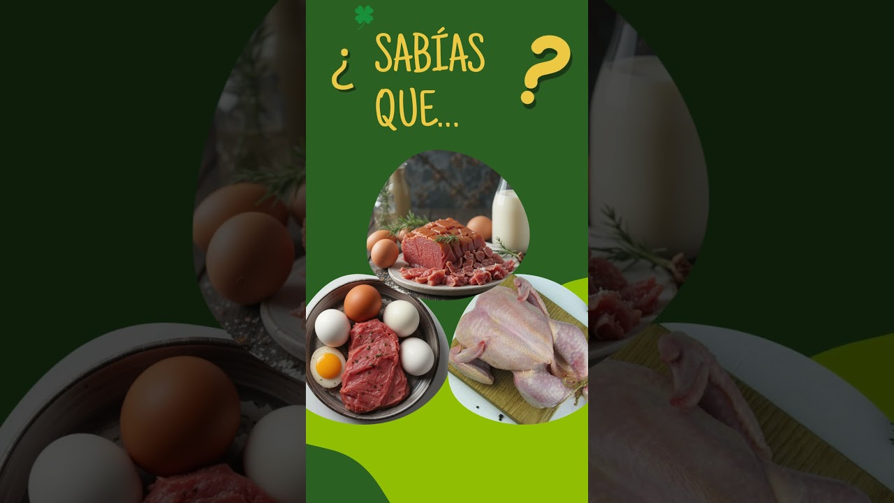 Sabias que... Biodisponibilidad de las prote&iacute;nas  #sabiasque  #education