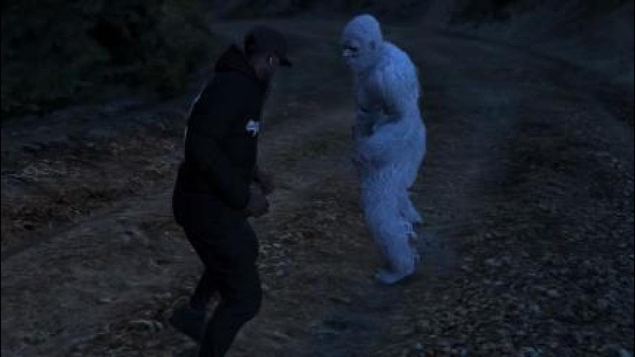 Fighting Yeti (Without Weapons) GTA Online