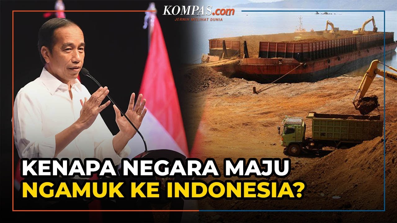 Jokowi Sebut Negara-negara Maju Ngamuk ke Indonesia, Apa Masalahnya?