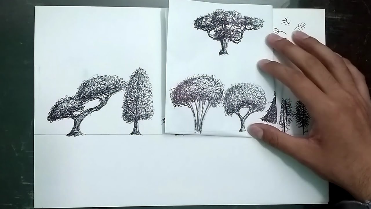 Cómo dibujar árboles y vegetación 2