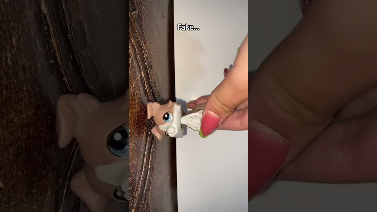 LPS Challenge part 2! 