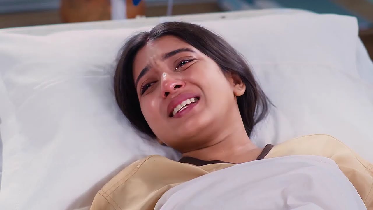 Mithijhora - Full Ep - 366 - Zee Banglaরাই কে কোন সিদ্ধান্তের কথা জানাবে অনির্বান?