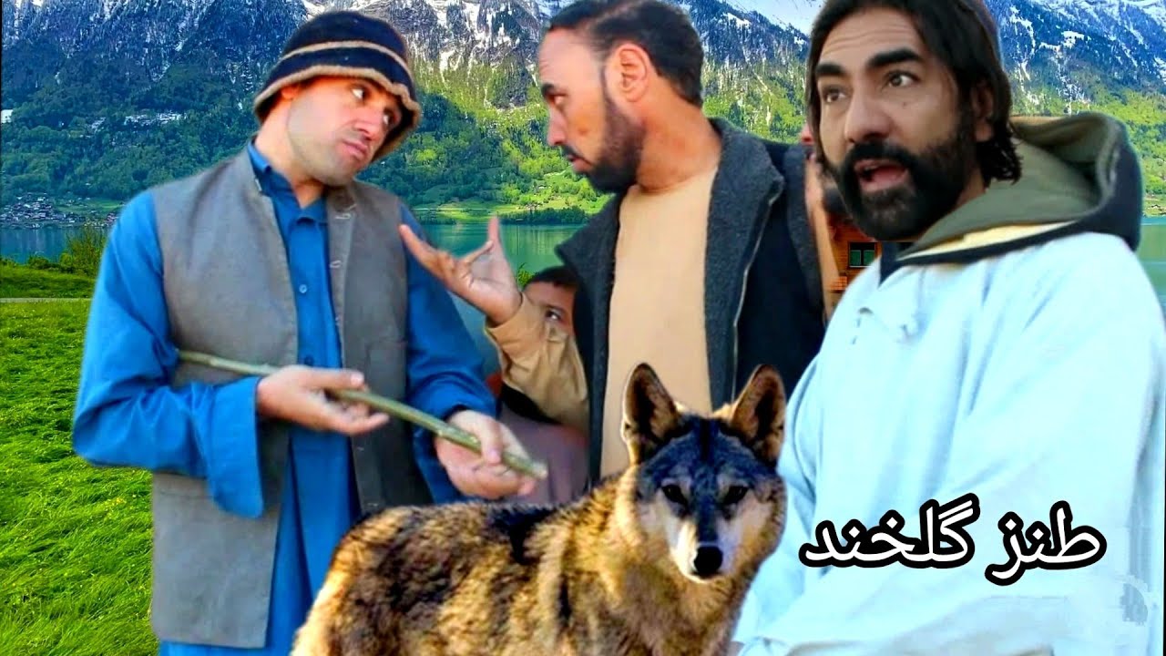 میگن نظر گل گوسفندای تورا گرگها خورده
