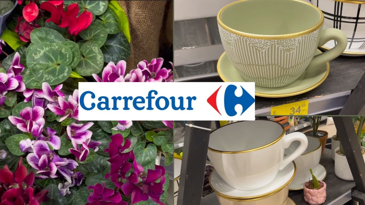 Przegląd kwiatów w Carrefour🌸Piękne doniczki filiżanki ☕