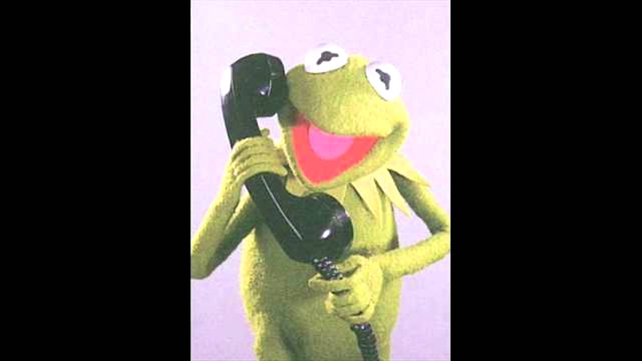 Kermit sucht die Karte