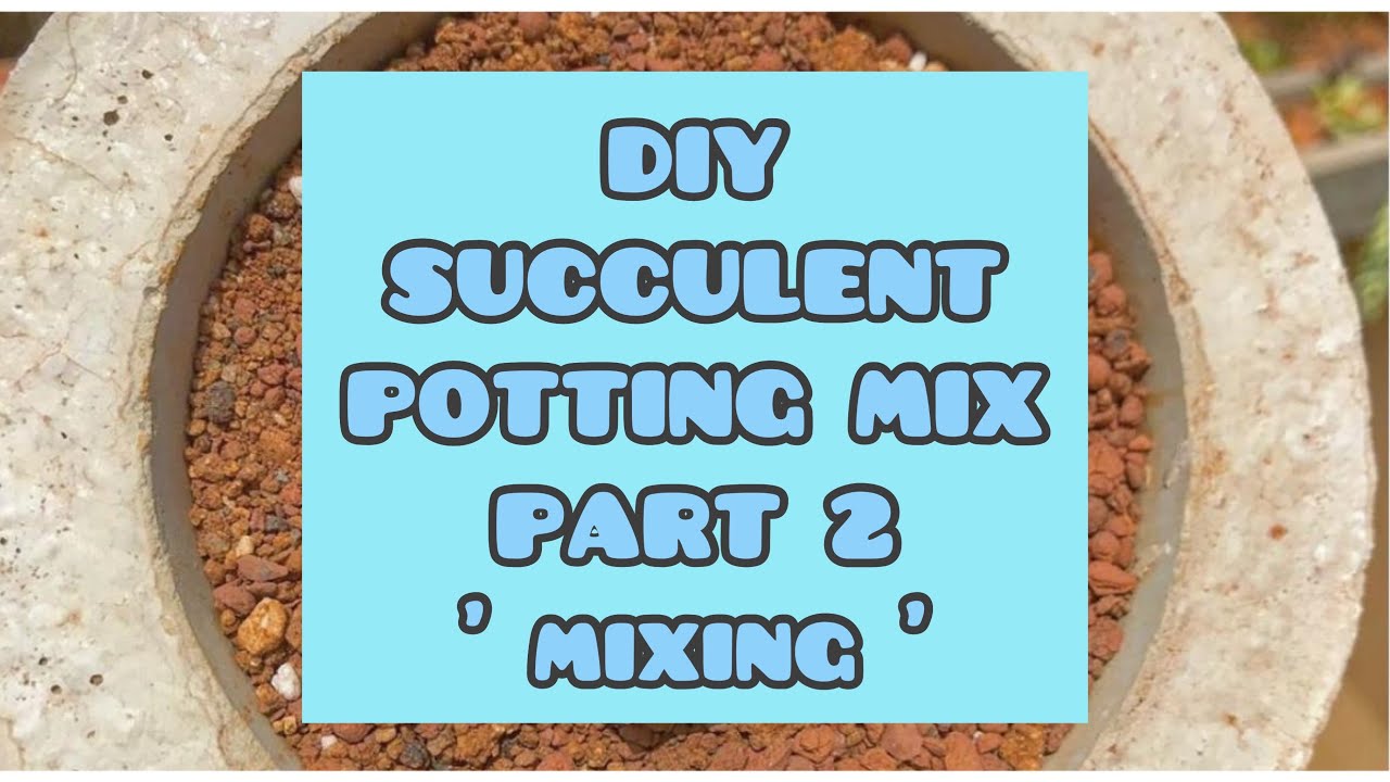 || DIY SUCCULENT SOIL MIX PART 2  || POTTING MEDIA ||