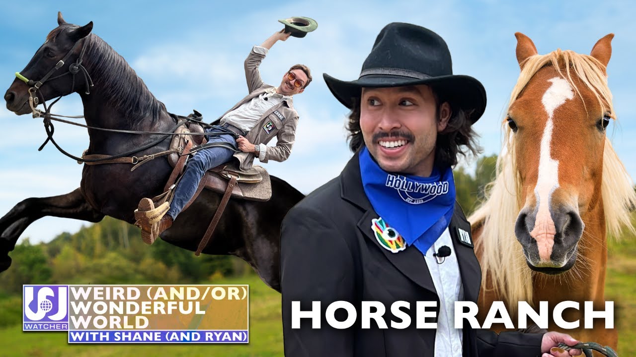 Shane & Ryan Visit A Hollywood Horse Ranch &bull; Weird Wonderful World