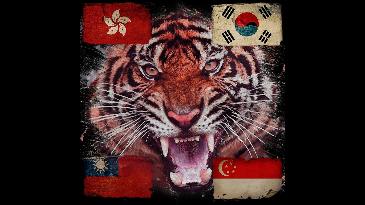 Export-Led Growth in the Asian Tiger Economies - Martin Daunton