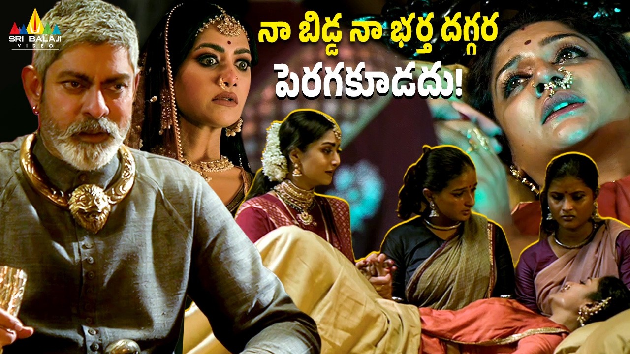 నా బిడ్డ నా భర్త దగ్గర పెరగకూడదు! Rudrangi | Latest Telugu Movie Scenes | Vimala Raman,Jagapthi Babu