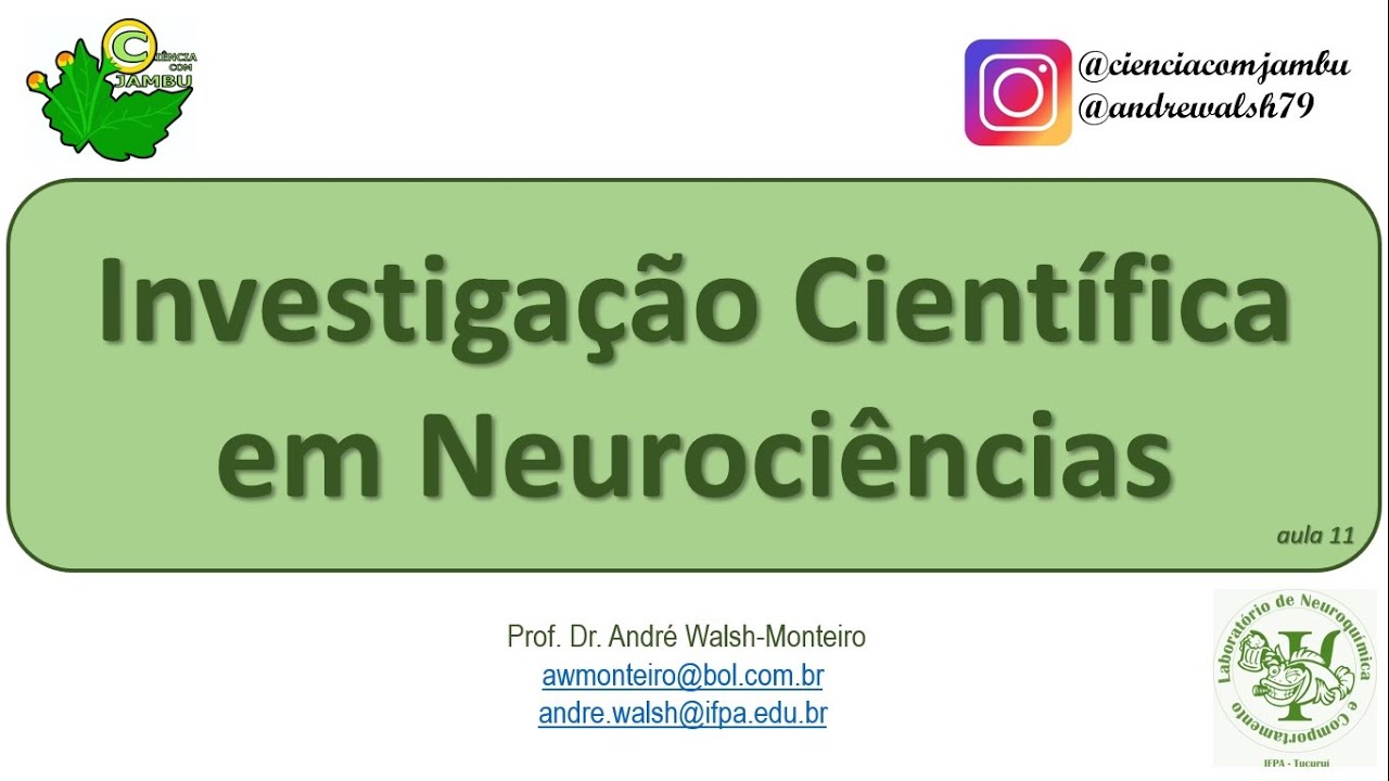 IntNeuro: Investigação Científica em Neurociências, aula 11