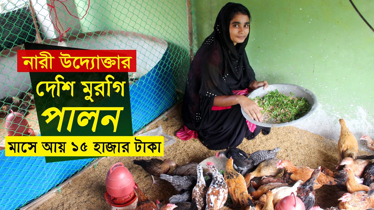 নারী উদ্যোক্তার ছাদের উপরে দেশি মুরগি পালন মাসে আয় 15 হাজার টাকা | Desi murgi farming in bangladesh