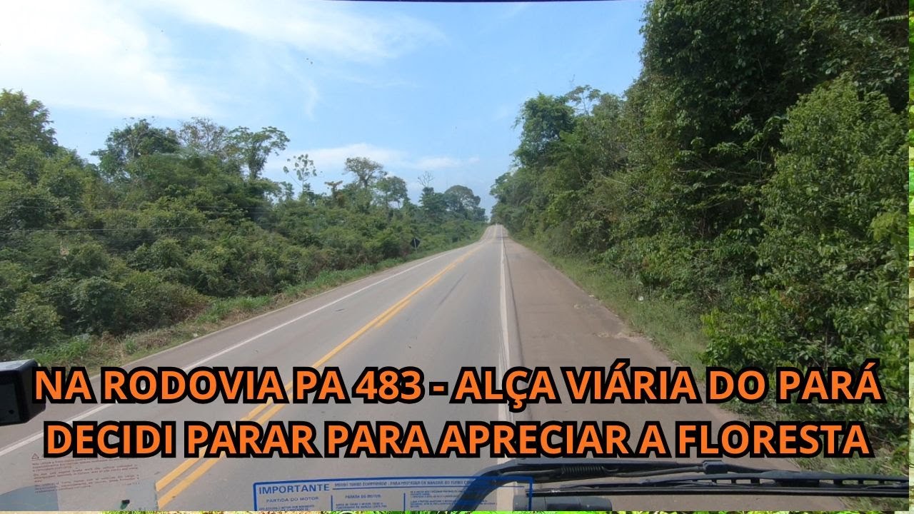 NA ROD. PA 483 DECIDI PARAR PARA APRECIAR A FLORESTA