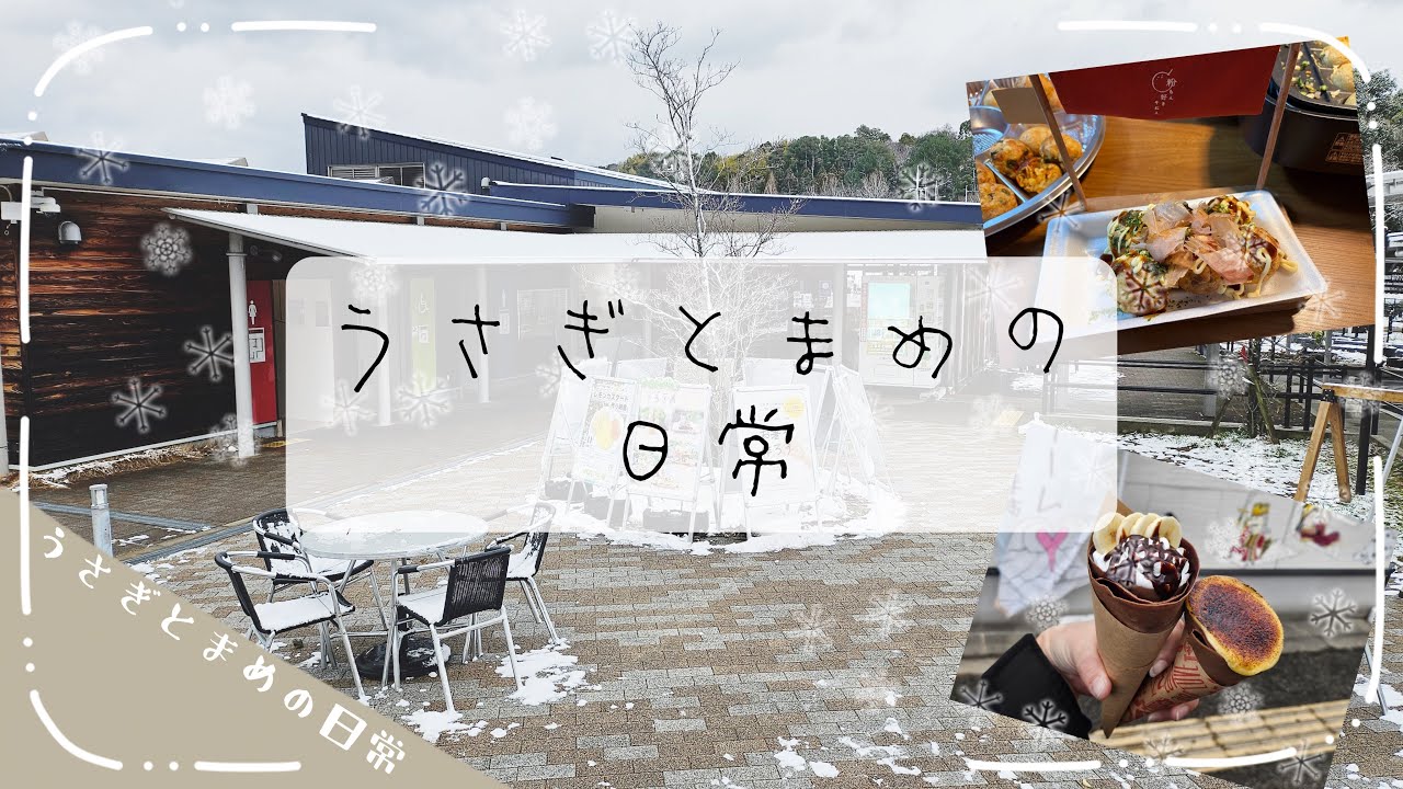 うさぎとまめの日常