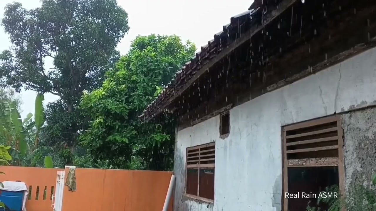 Calming Rain Ambience | Sleep, Study & Relax
