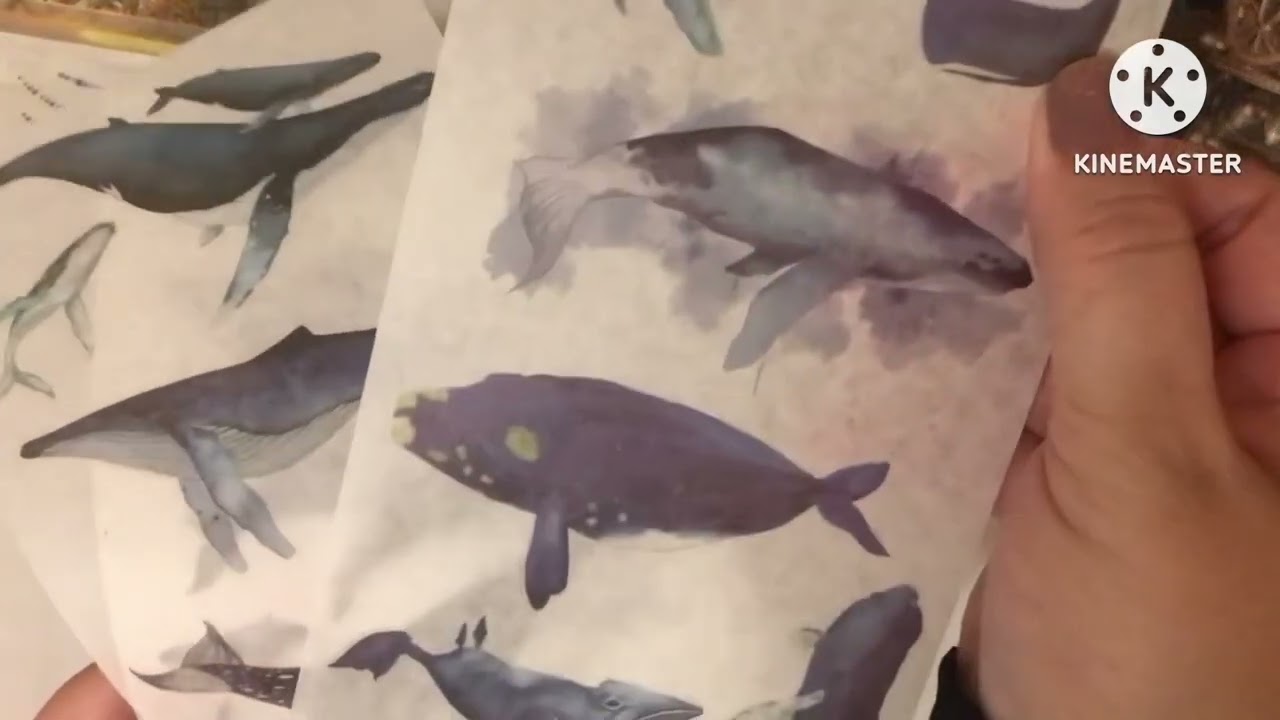 🐋コラージュ日記🐋