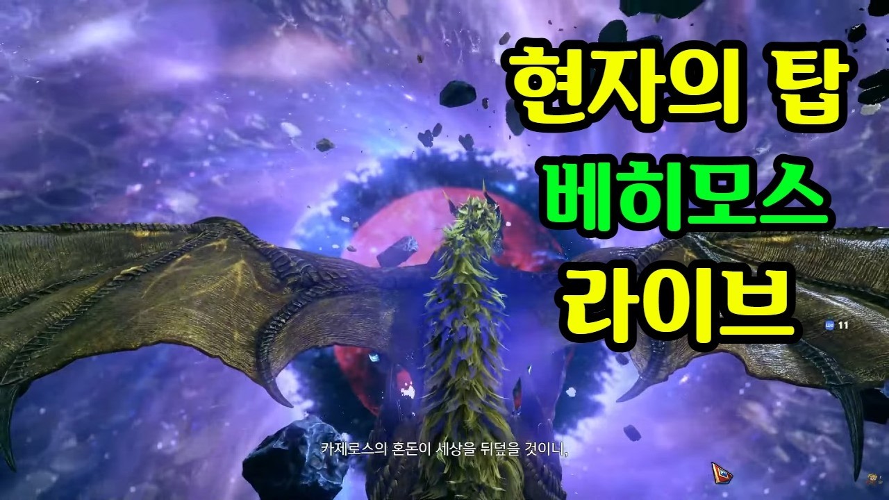 아크라시아 유람기 로아뉴비