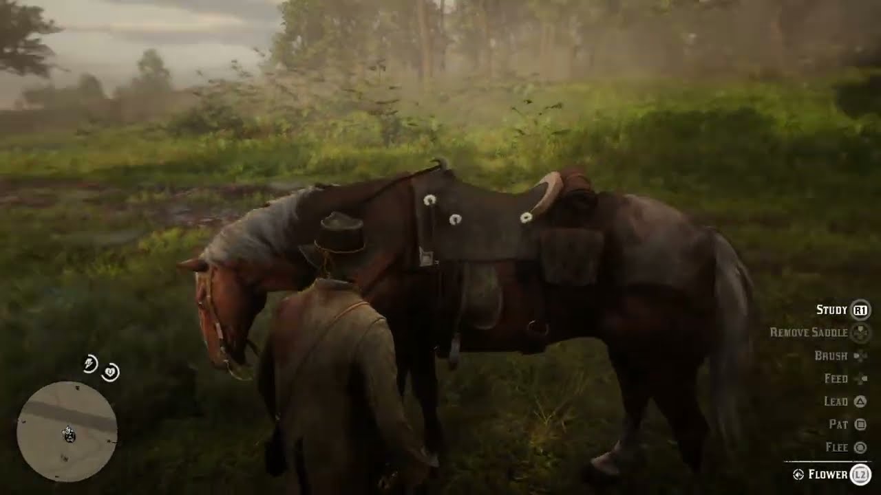 Red Dead Redemption 2
