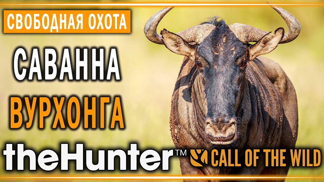 theHunter Call of the Wild #8 🦁 - Саванна Вурхонга (часть 2) - Свободная Охота