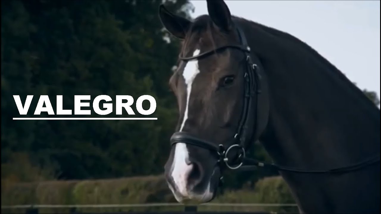 Valegro II Horses II Music video II