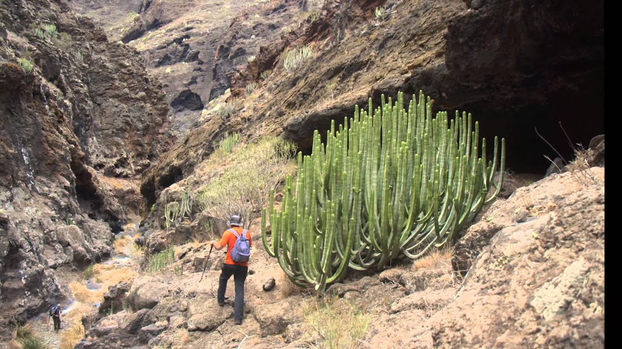 Tenerife. Teno Barranco de Juan Lopez Teno