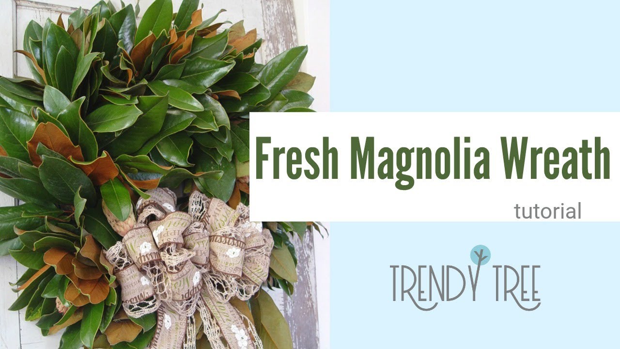How to Make a Fresh Magnolia Wreath by Trendy Tree