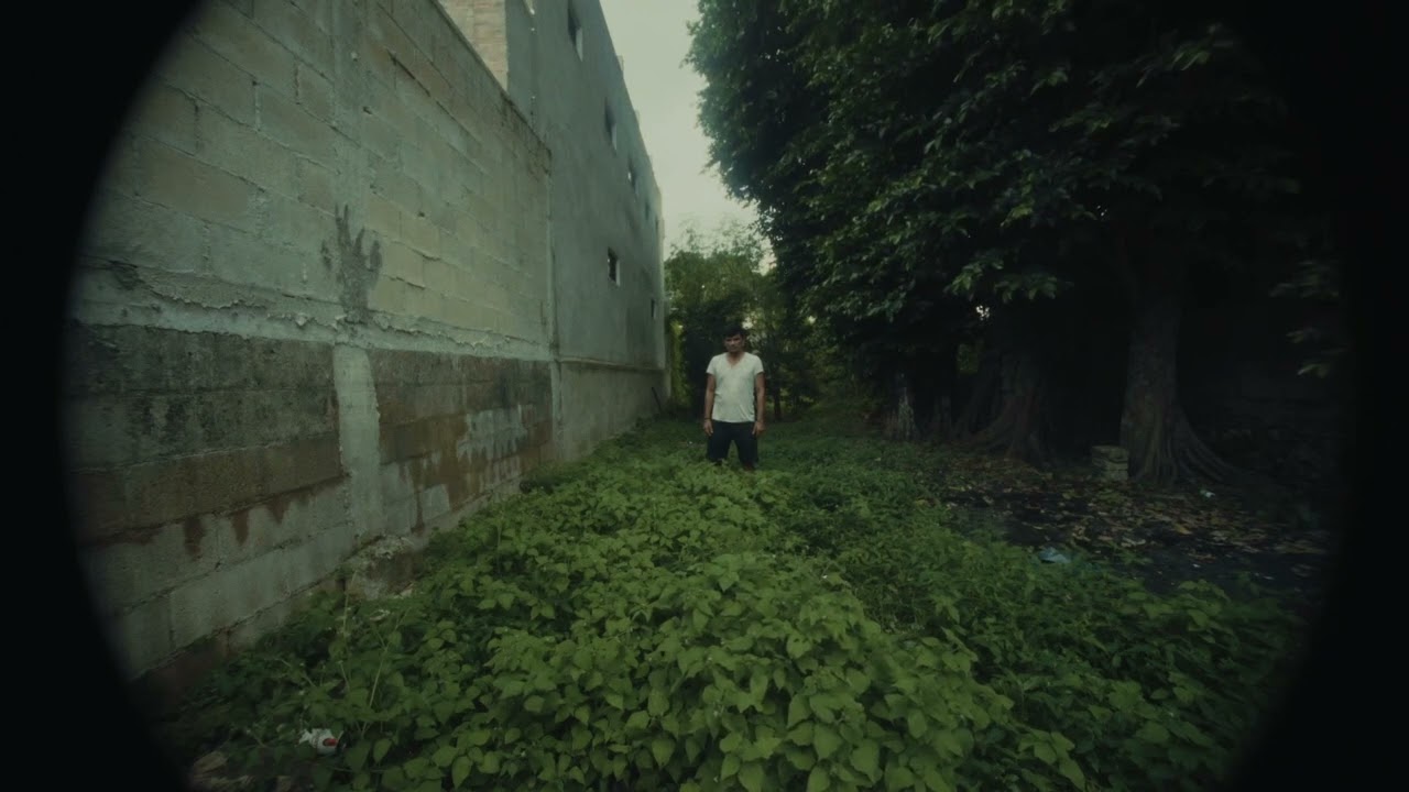 Trailer  - The day trees decided to migrate  - VdR 2026