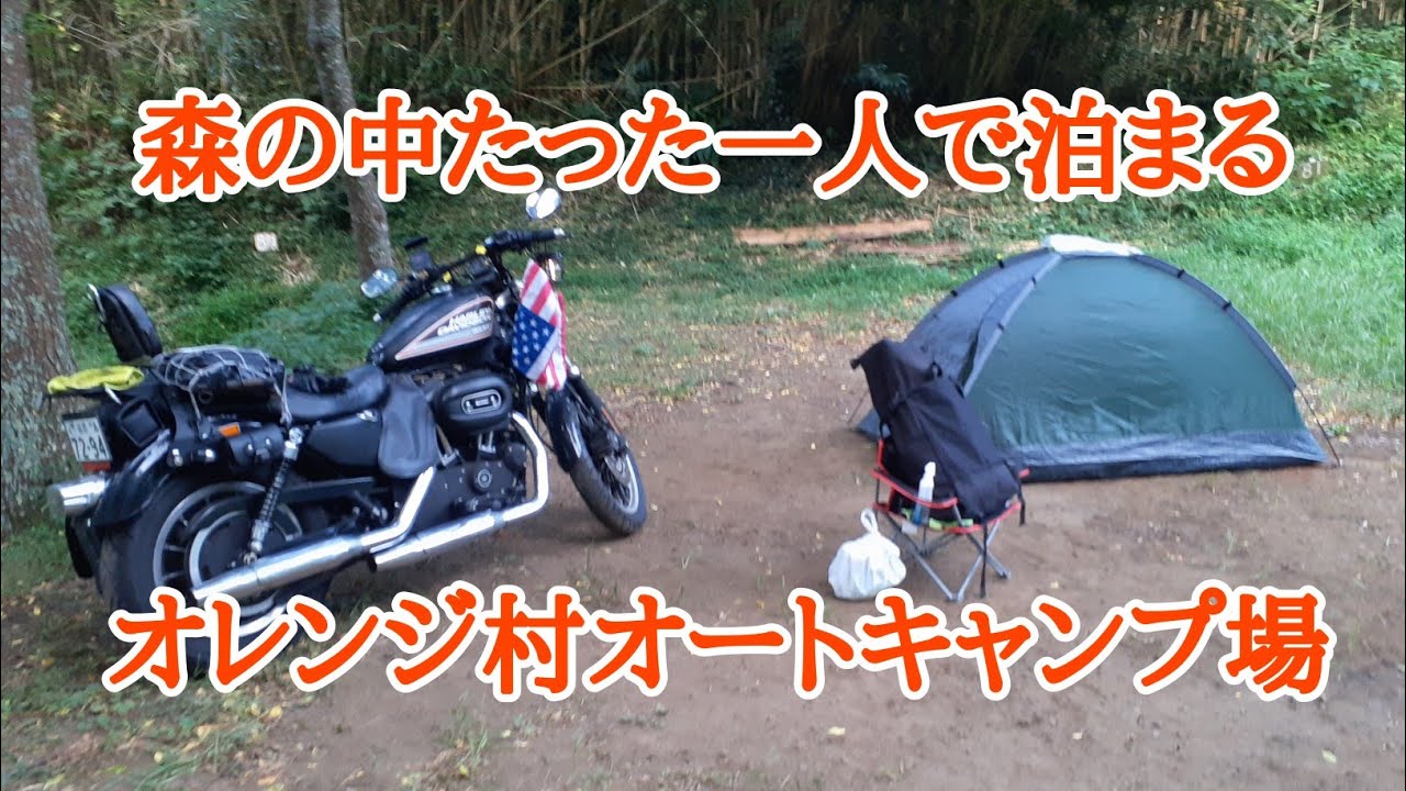 千葉格安キャンプ場　オレンジ村オートキャンプ　森の中俺一人
