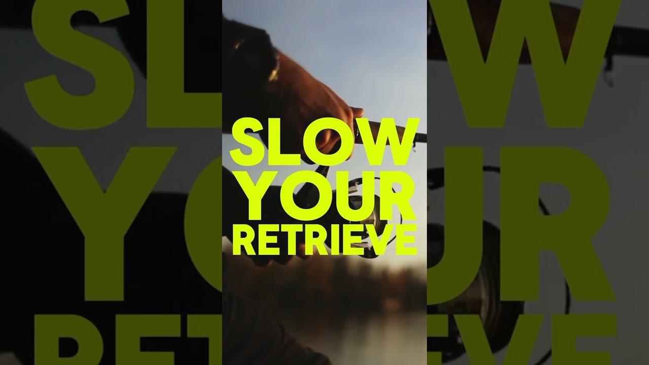 3 must know tips to help catch more large mouth bass this spring!