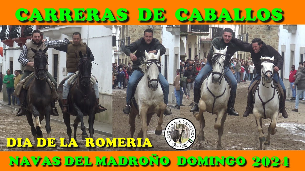 2 DIA  CARRERAS  DE CABALLOS NAVAS DEL MADROÑO DOMINGO 2024 DIA DE LA ROMERIA #carreras #caballo