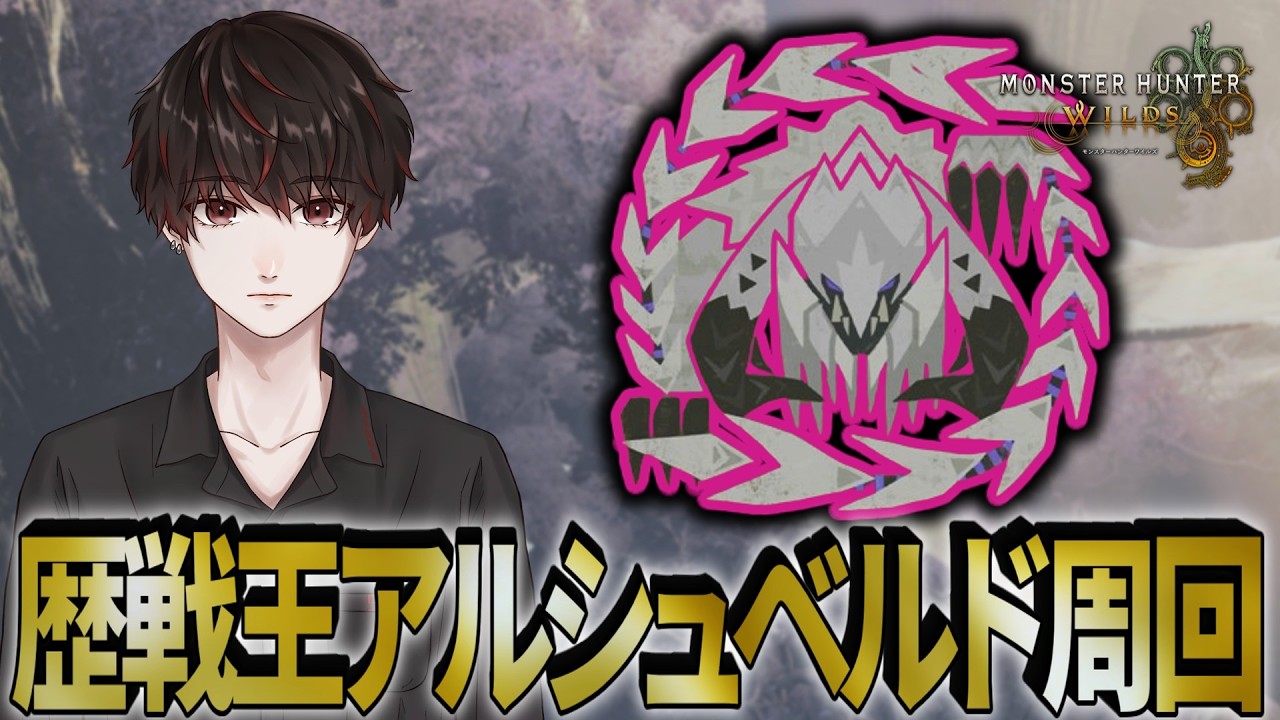 歴戦王アルシュベルド周回【モンハンワイルズ】