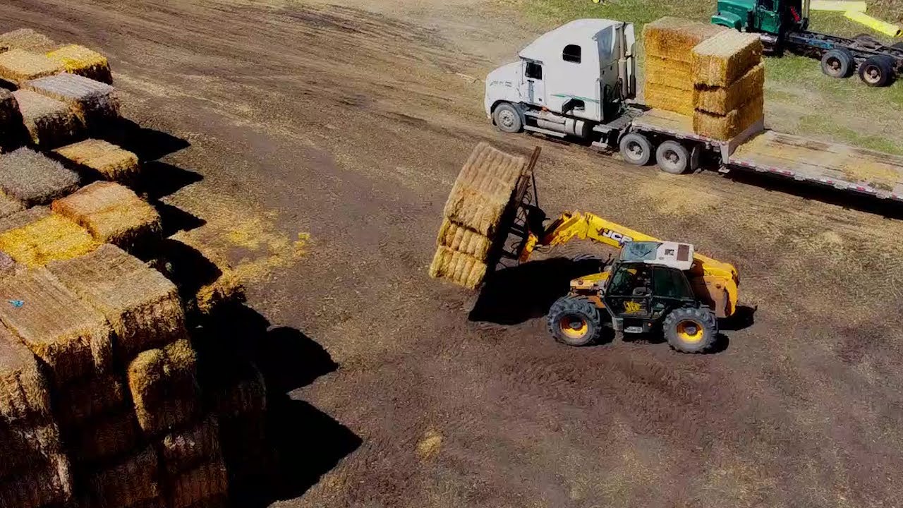 Loading/Shipping STRAW BALES   Heavy equipment in ACTION!  Canadian farming