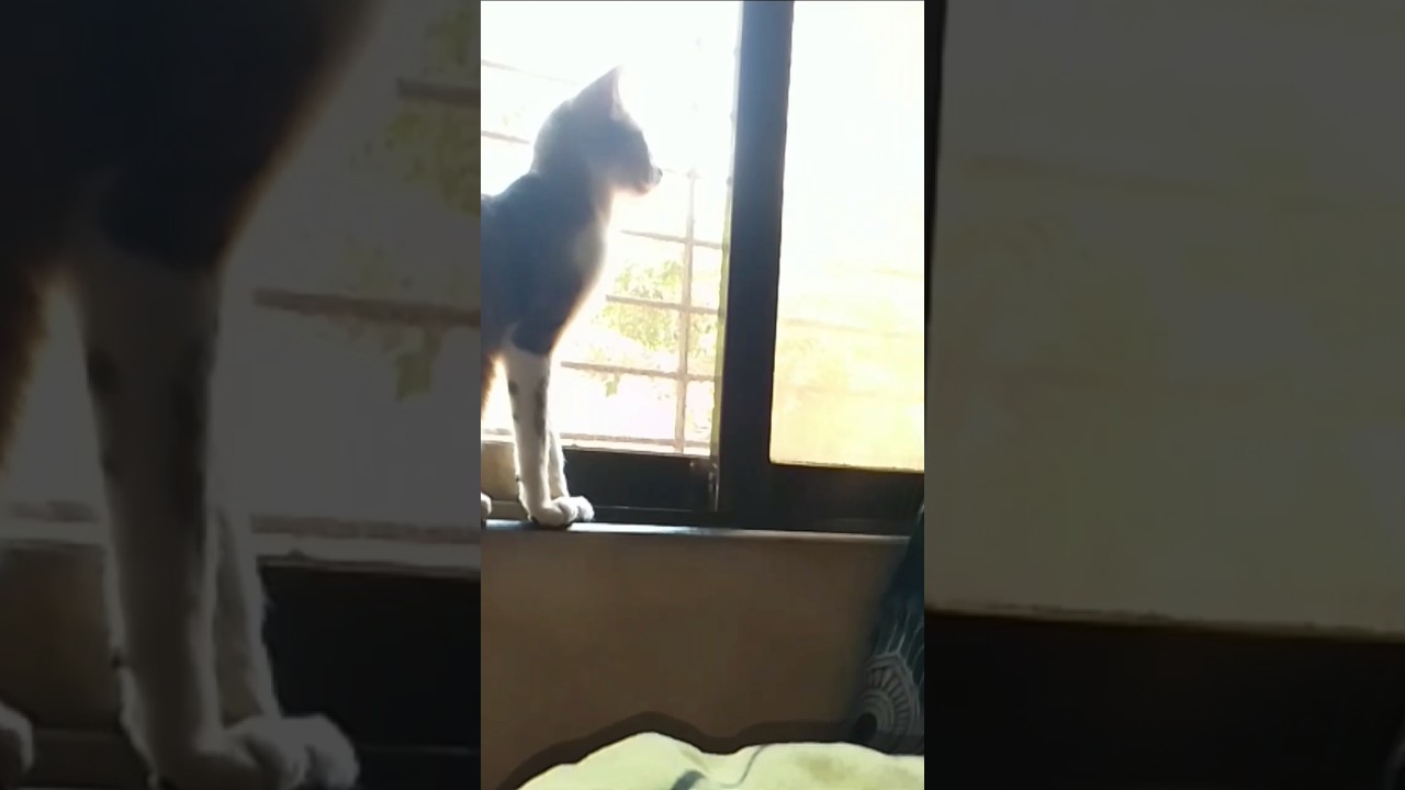 coco ki masti 