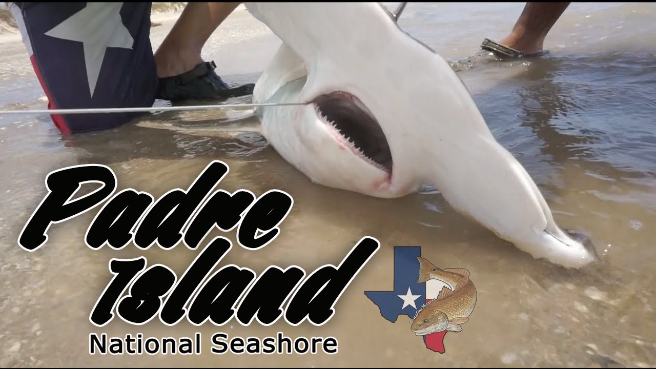 Padre Island National Seashore - We Got The 