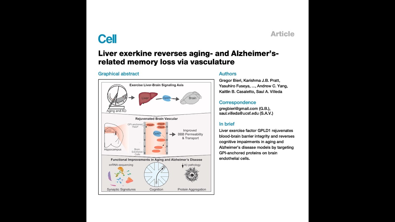 584-GPLD1 and TNAP Regulation of Cognitive Function in Aging