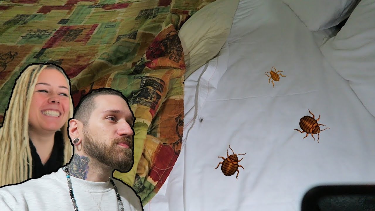 Our Hotel Has Bed Bugs?