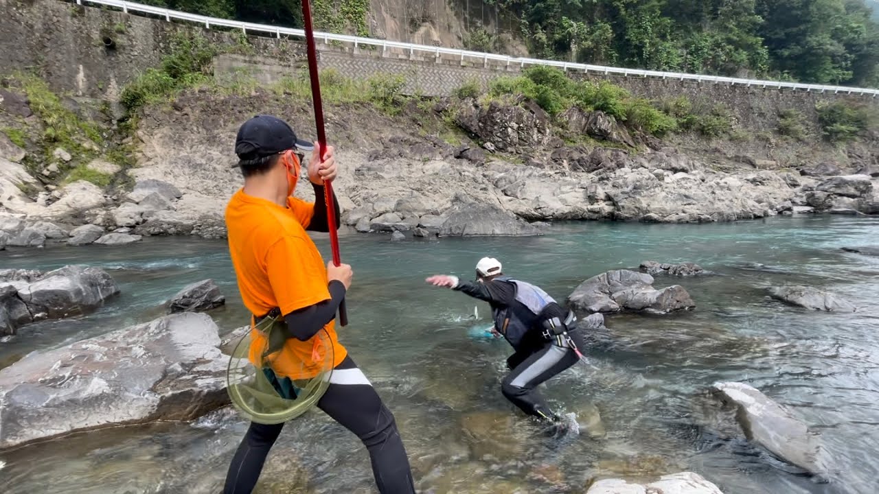 素人が日高川で鮎釣りしてみたら…大鮎ヒットで思わず名人が掬いに飛び出した〜【中編】