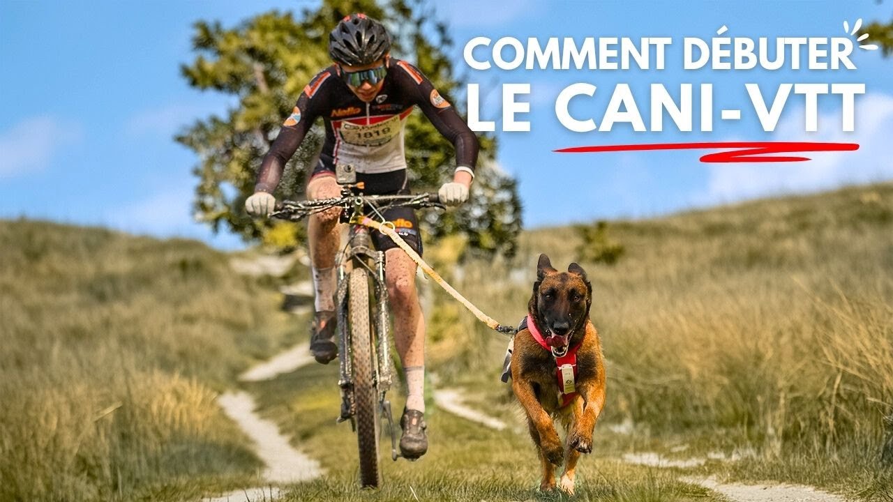 CaniVTT : par o&ugrave; commencer quand on d&eacute;bute ?
