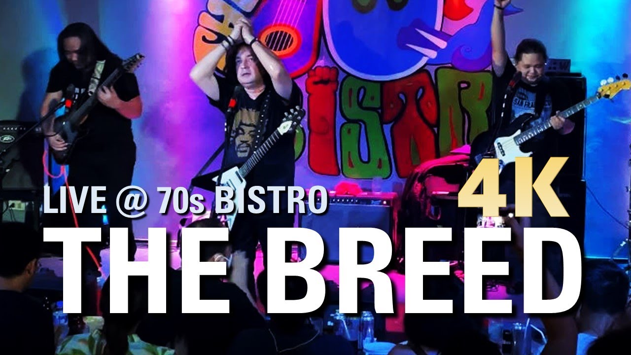 THE BREED Full Gig Live @ THE  70s BISTRO, Quezon City |THE LOUDEST BAND IN THE PHILIPPINES [4K HDR]