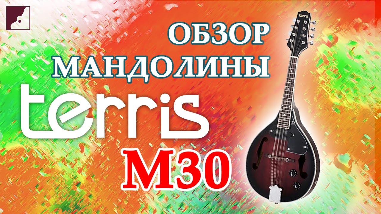 Обзор мандолины TERRIS M30