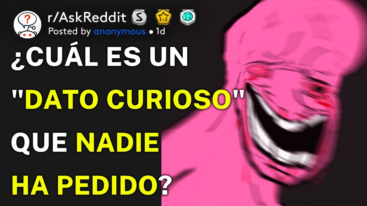 ¿Cuál es un 