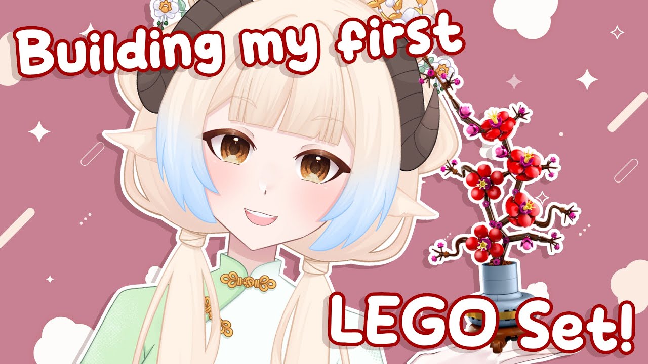 【HANDCAM LEGO BUILD】 Building my First Lego Set!!