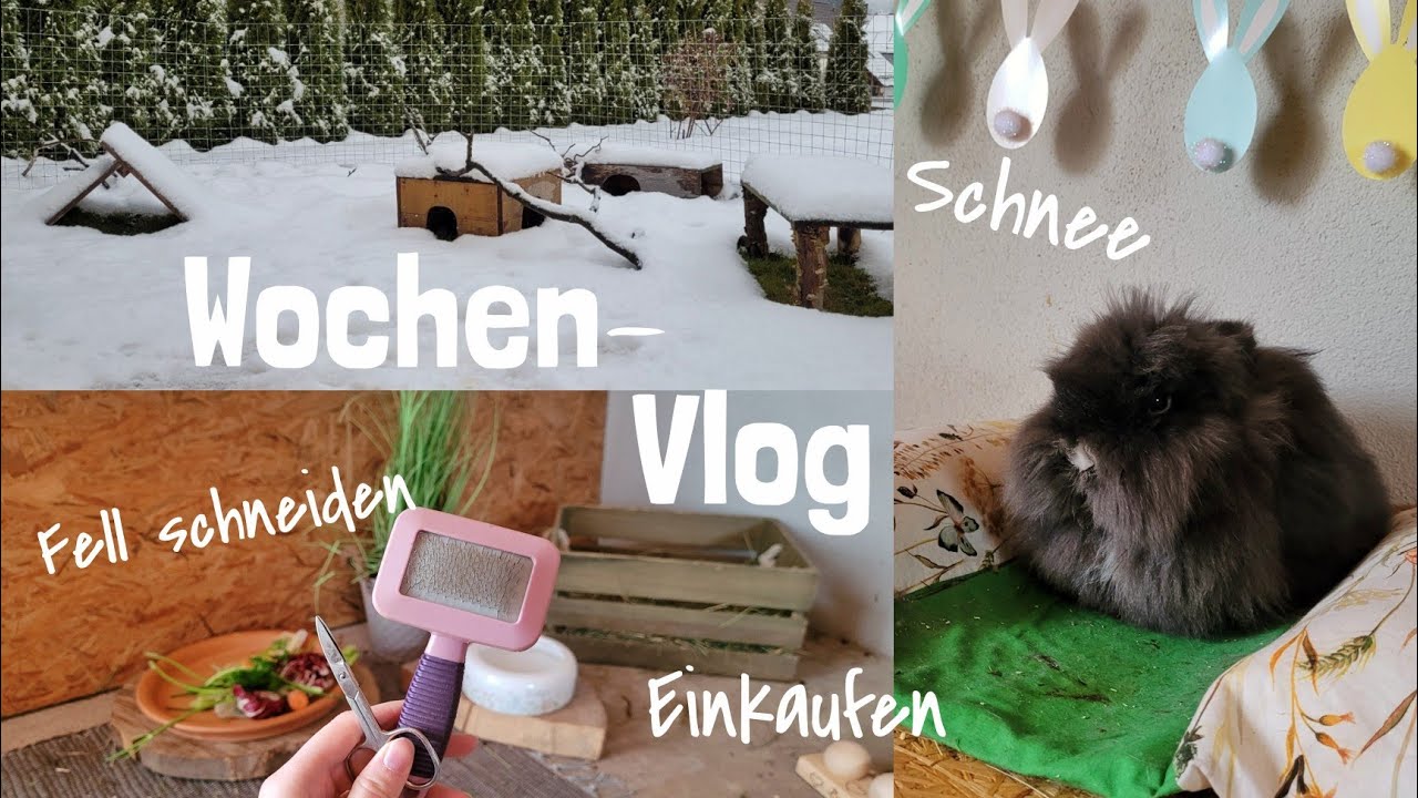 Winter Vlog: eine Woche mit den Kaninchen | Fell schneiden, Einkaufen,...
