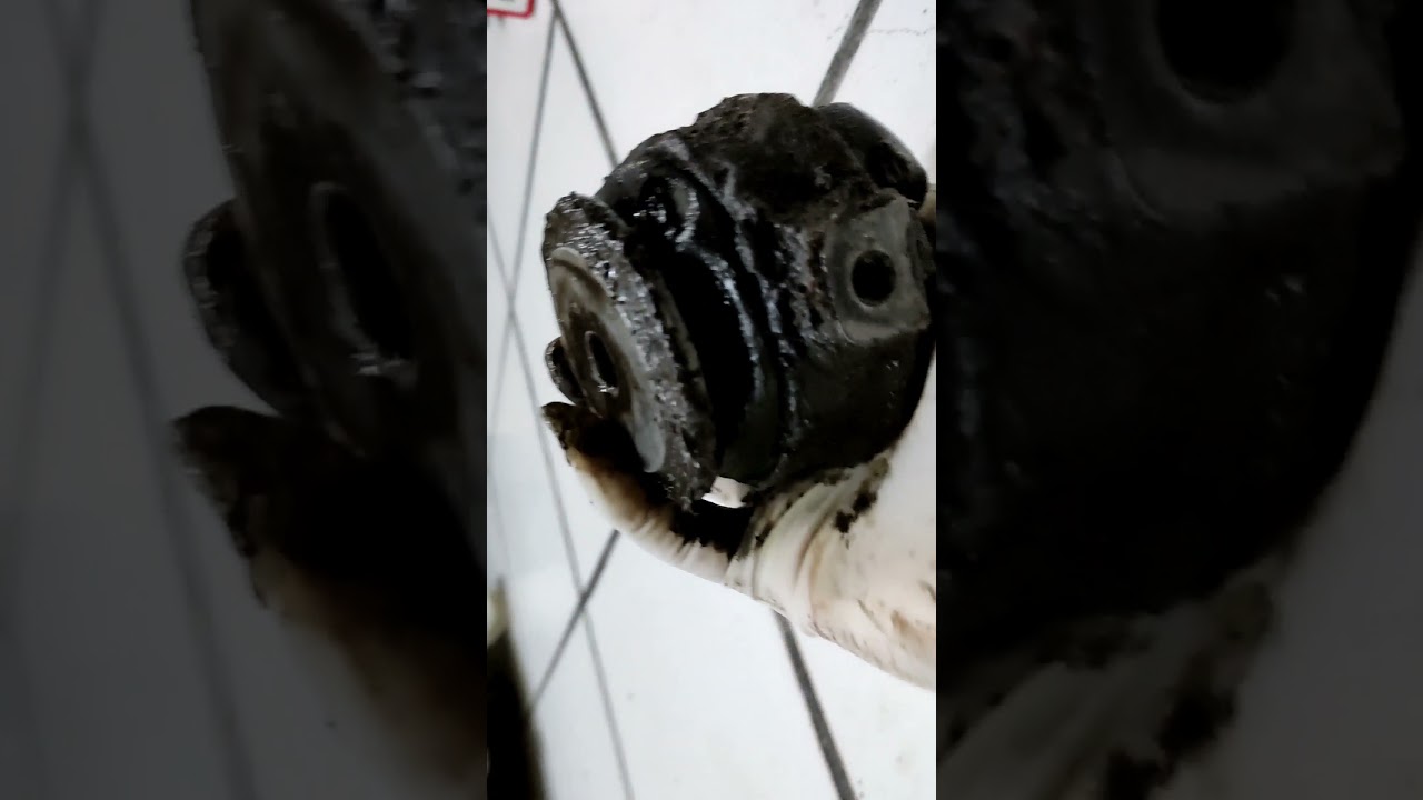 Soporte transmisión Pointer!!