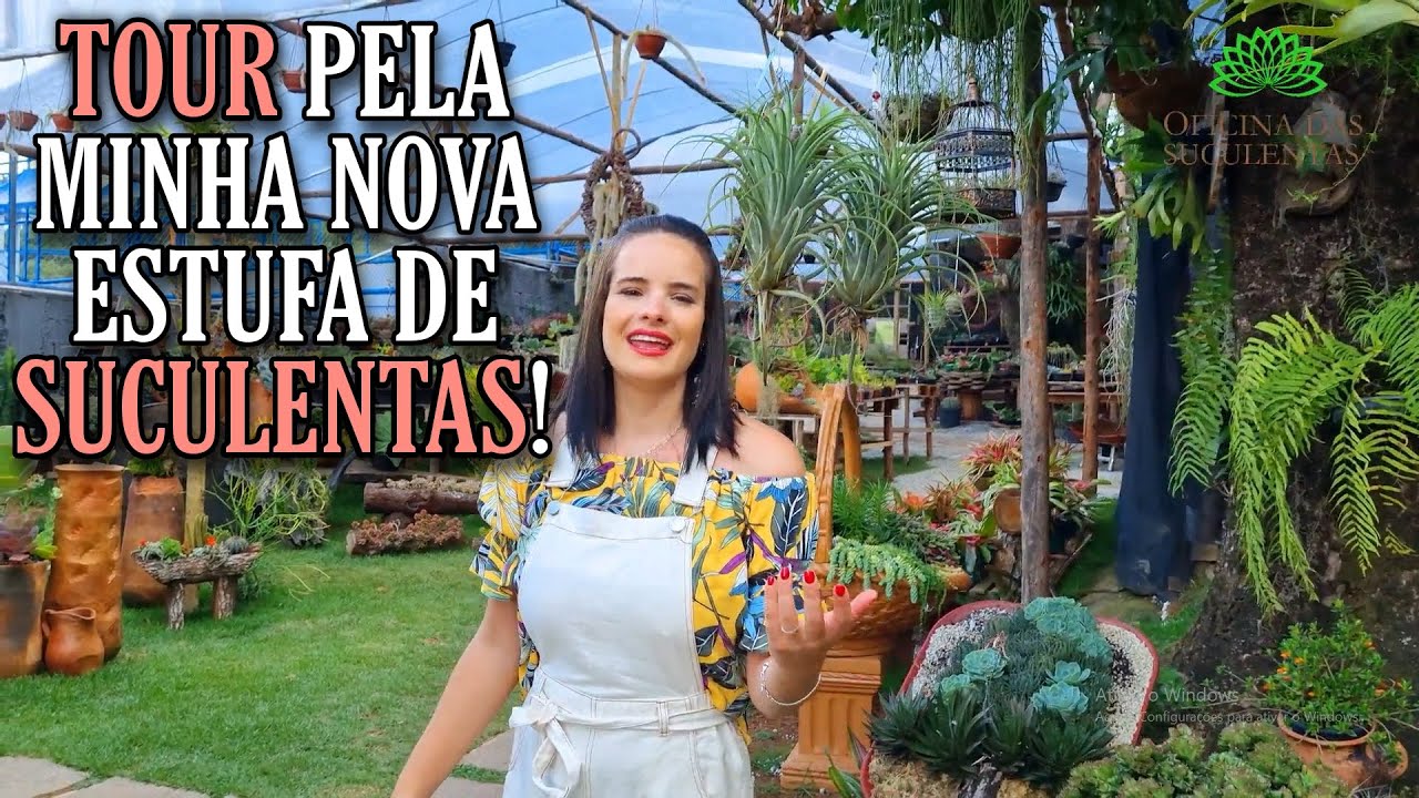 TOUR PELA ESTUFA NOVA DE SUCULENTAS !