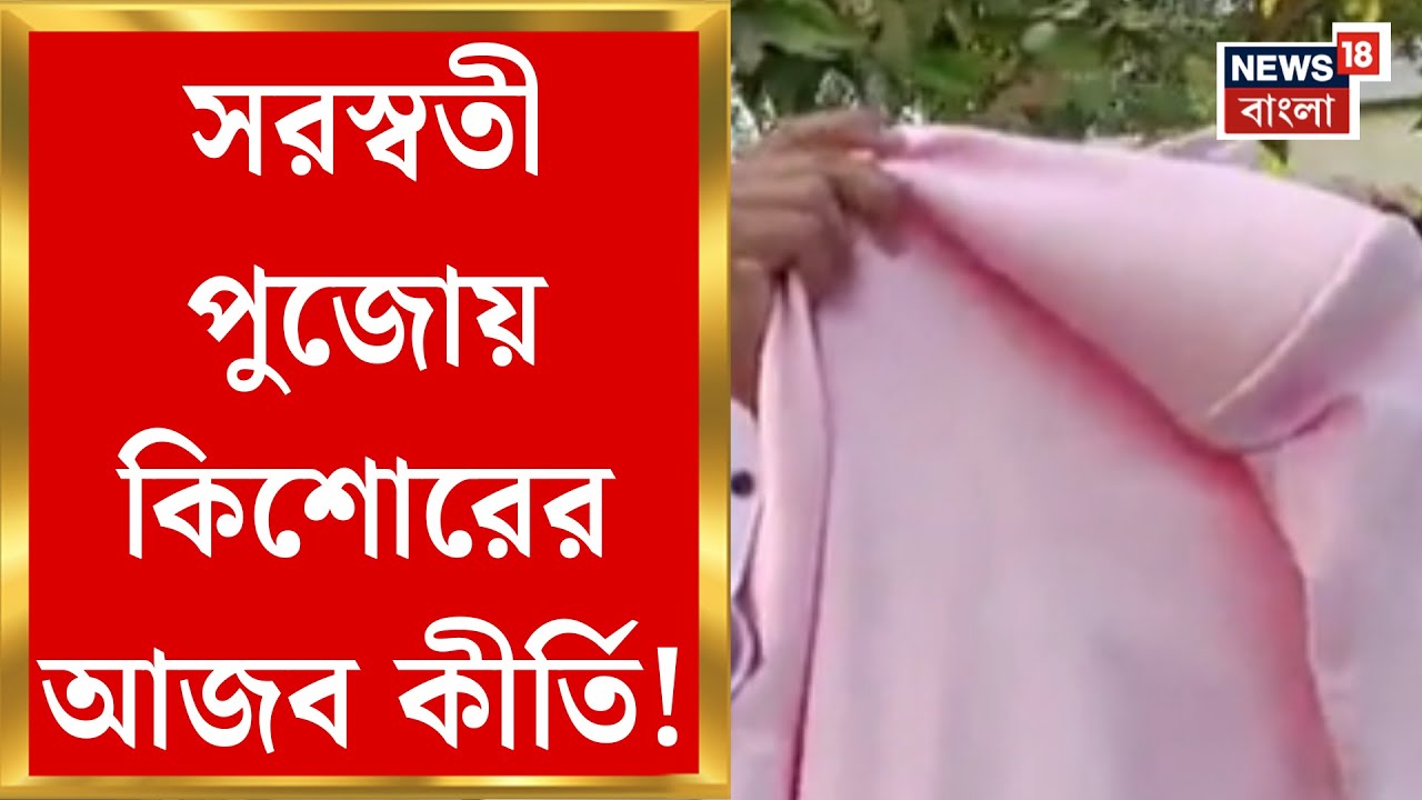 Ashoknagar News | সরস্বতী পুজোয় নীল বাতি গাড়ি-বাউন্সার নিয়ে স্কুলে হানা কিশোরের!| Bangla News