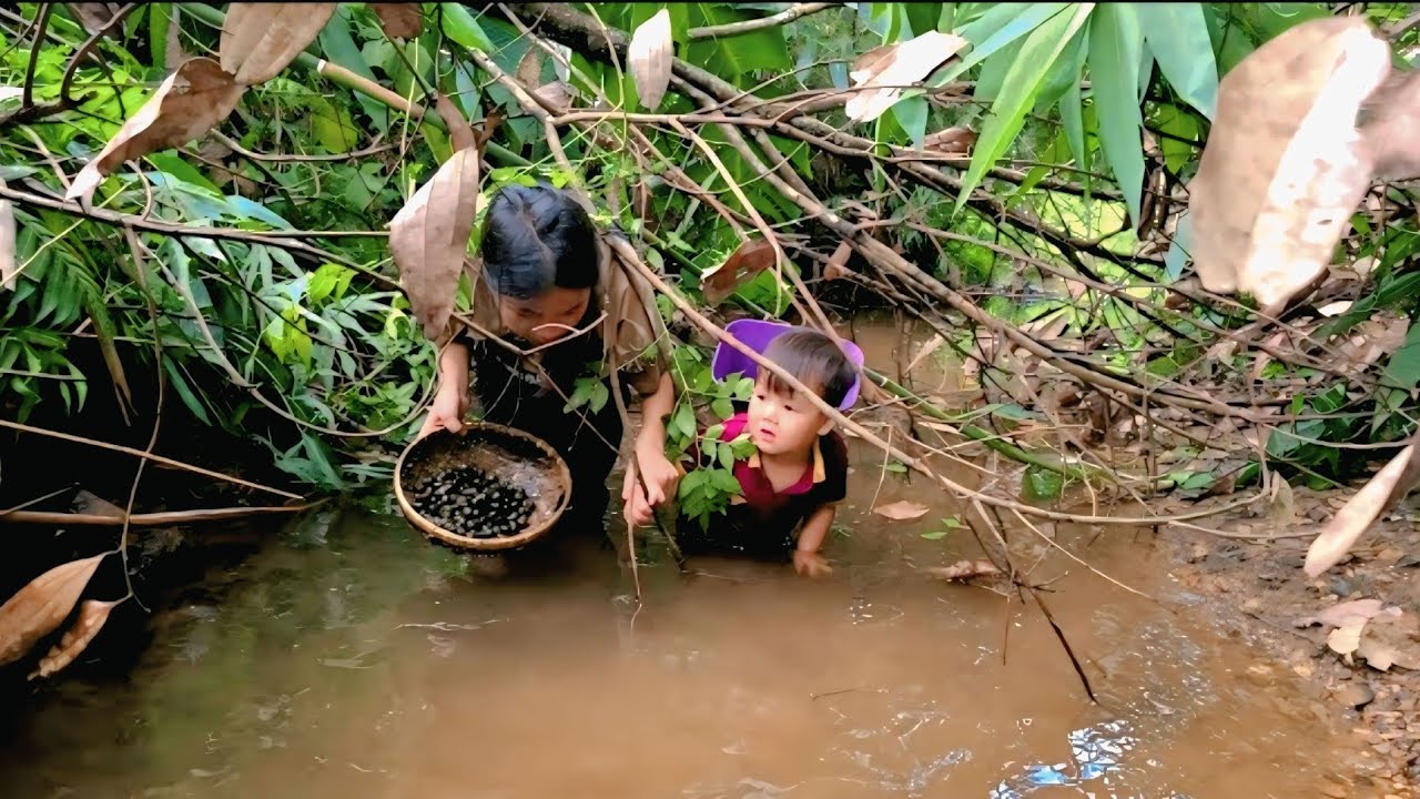 Hungry and Desperate, Two Sisters Go Snail Hunting for a Meal – Ly Thi My Story
